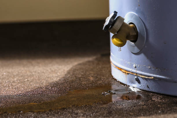 Best Water damage repair service  in West Hamburg, PA