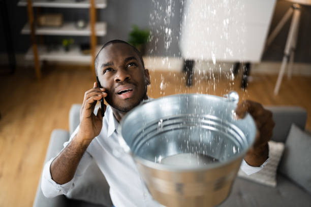 Water damage restoration mold remediation in West Hamburg, PA