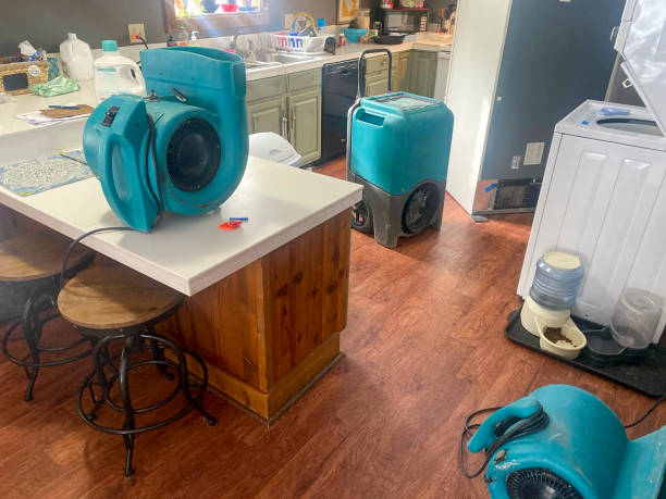 Best Water damage cleanup near me  in West Hamburg, PA