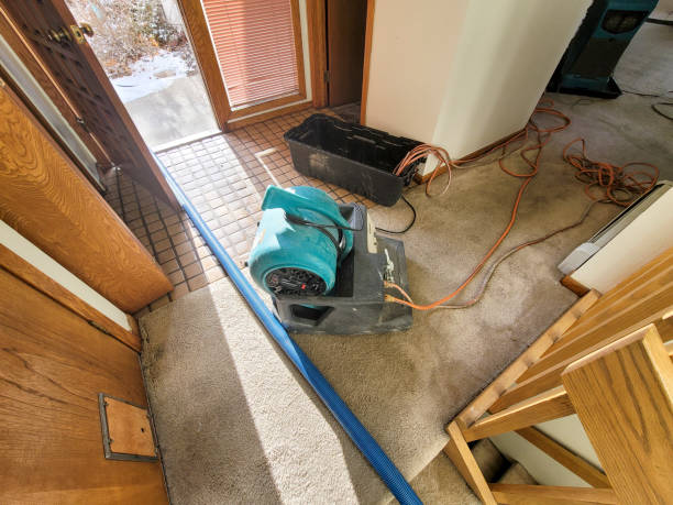 Best Mold removal after water damage  in West Hamburg, PA