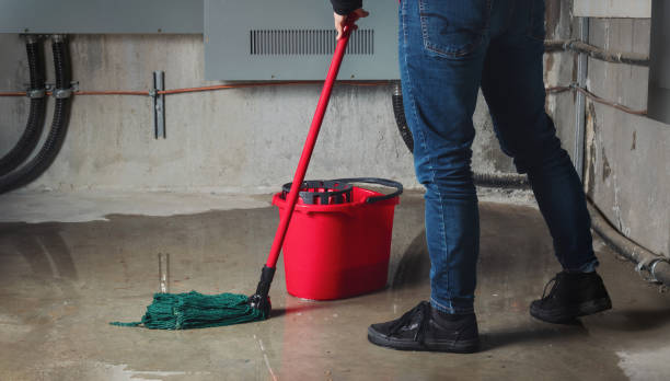 Best Flooded house restoration  in West Hamburg, PA