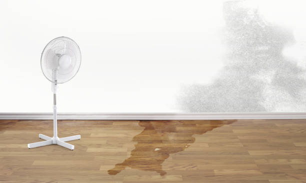 Best Emergency water damage restoration  in West Hamburg, PA
