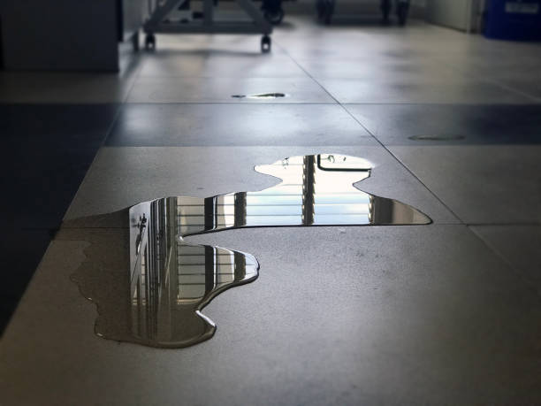 Best Water damage restoration insurance claims  in West Hamburg, PA